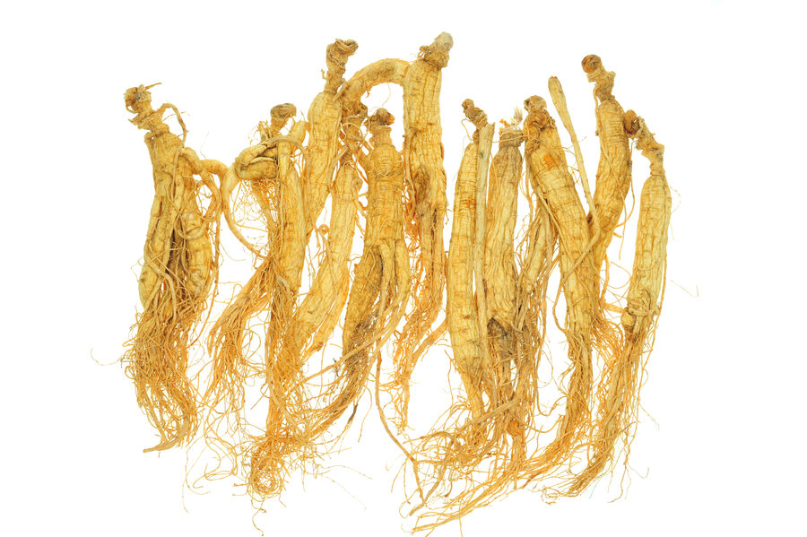 Dried Panax ginseng roots